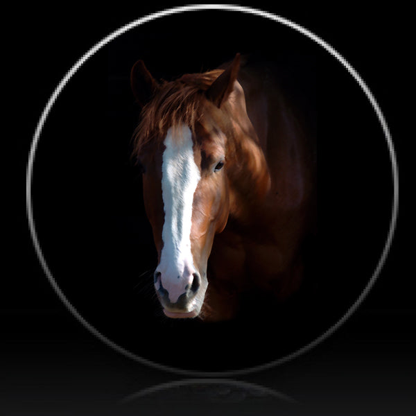 Horse head spare tire cover