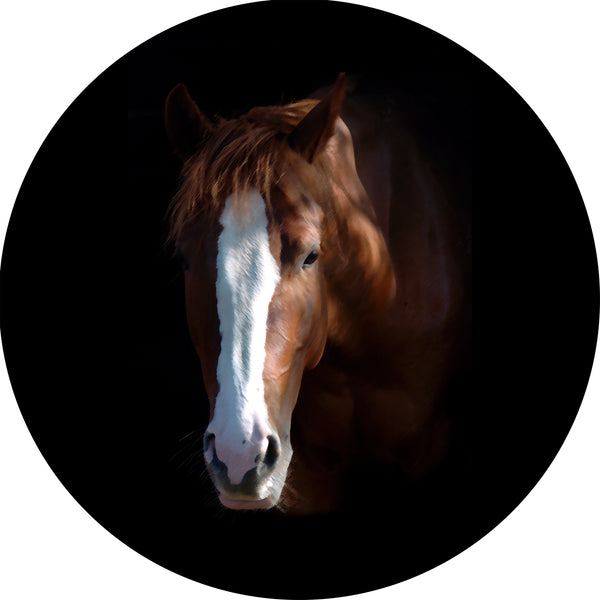 Horse Head Spare Tire Cover-Custom made to your exact tire size