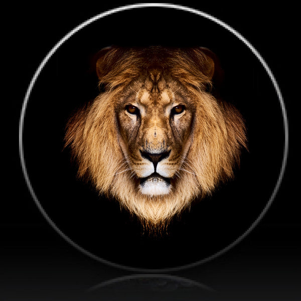 Lion head spare tire cover