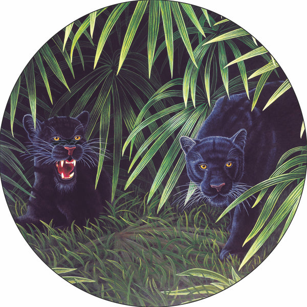 Panthers Mystical Shadows Spare Tire Cover Michael Matherly©-Custom made to your exact tire size