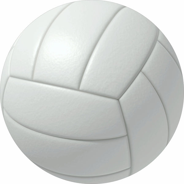 Volleyball Spare Tire Cover-Custom made to your exact tire size