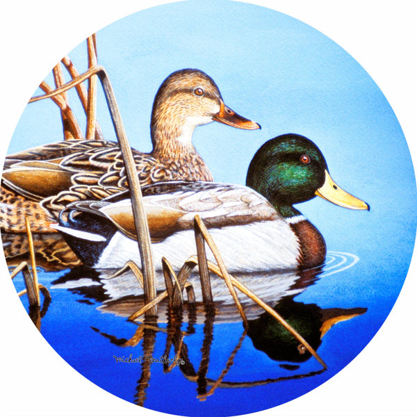 Blue Water Mallard ducks Spare Tire Cover Michael Matherly©-Custom made to your exact tire size
