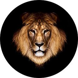 Lion Head Spare Tire Cover