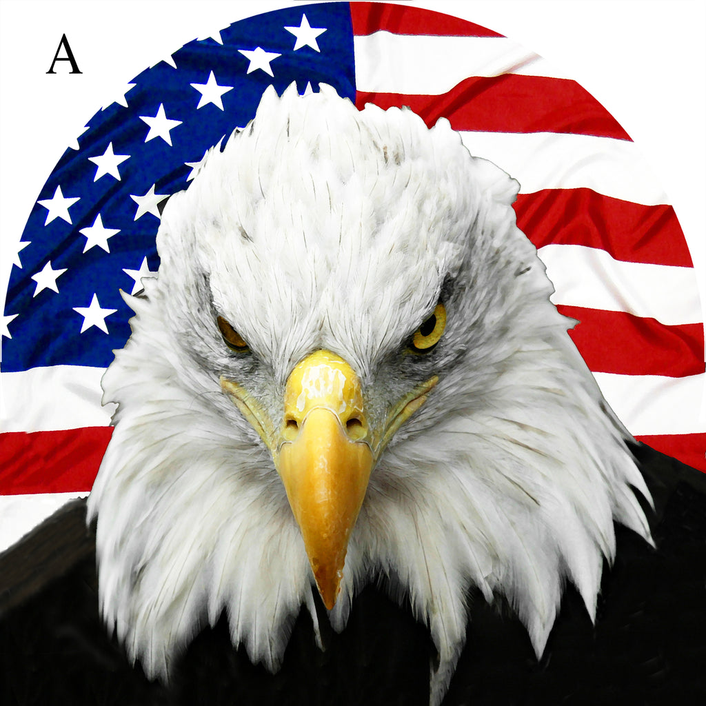 Eagle & US flag flat bottom tire cover for parked vehicle