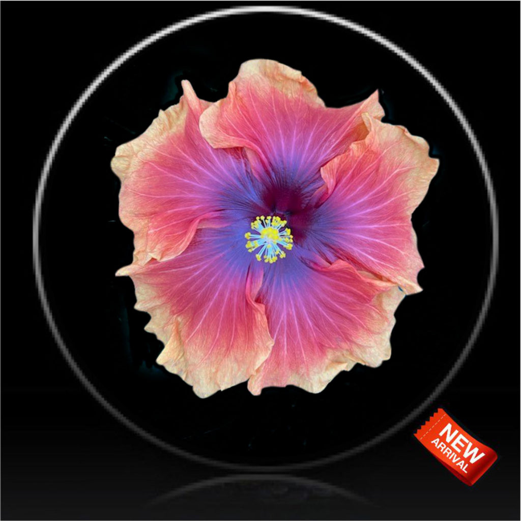 multi color hibiscus flower spare tire cover