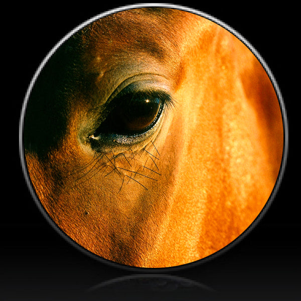 Horse eye  spare tire cover