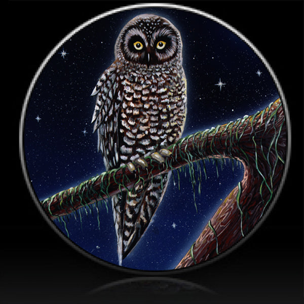 Night owl spare tire cover