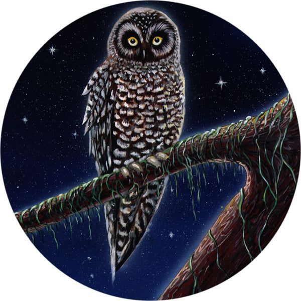 Owl Night Sky Spare Tire Cover Mike Dubois©-Custom made to your exact tire size