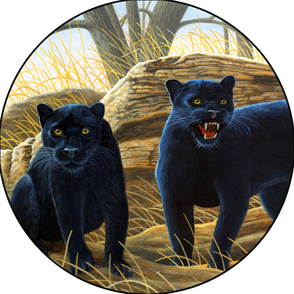 Panthers No Trespassing Spare Tire Cover Michael Matherly©-Custom made to your exact tire size
