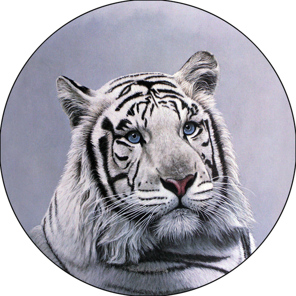 White Tiger  Blue Sapphire Eyes Spare Tire Cover Michael Matherly©