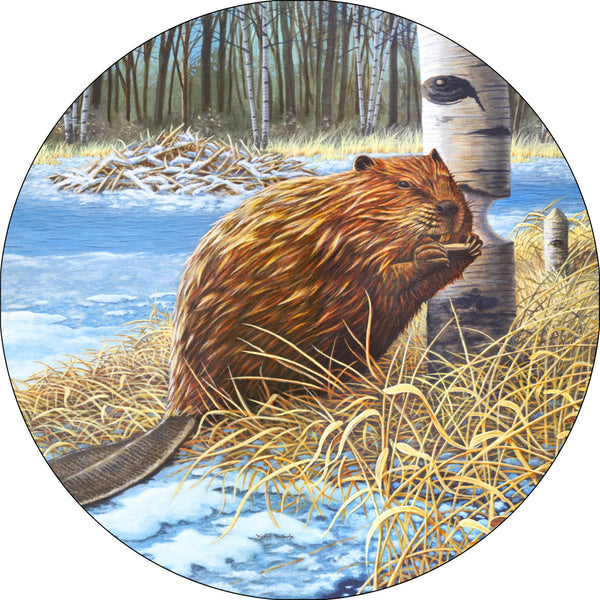 Beaver Spare Tire Cover Michael Matherly©-Custom made to your exact tire size