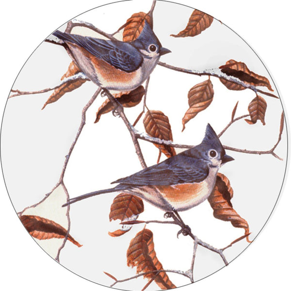 Bird Tufted Titmice Spare Tire Cover Michael Matherly©-Custom made to your exact tire size