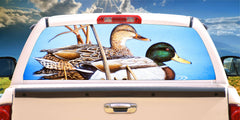 Bird Blue Water Mallard Ducks Mural Decal for window 50/50 Perforated Material