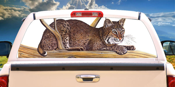 bobcat on the lookout window mural decal