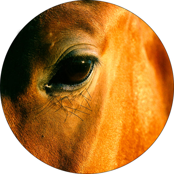 Horse Eye Spare Tire Cover-Custom made to your exact tire size