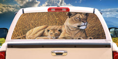 Lion & cub in African plain Mural Decal for window 50/50 Perforated Material