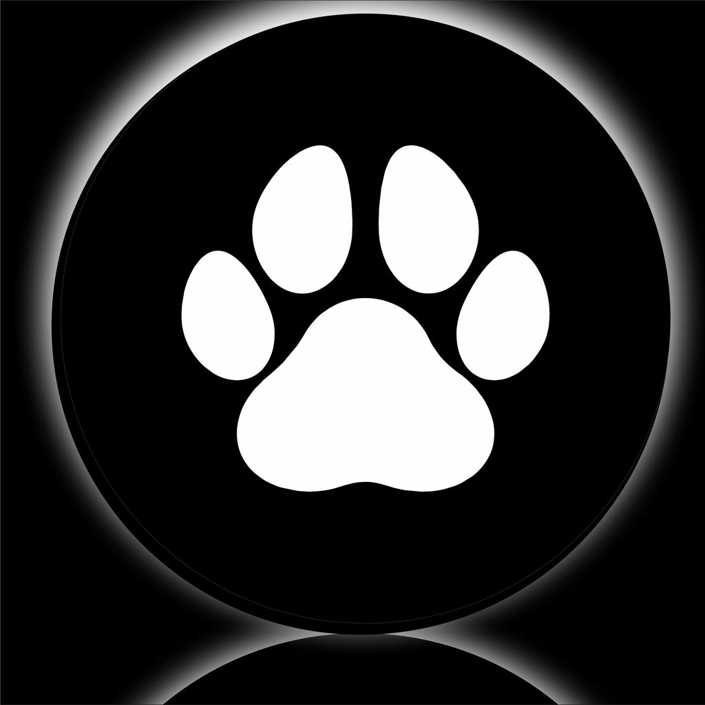 paws white spare tire cover