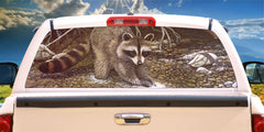 Raccoon Mural Decal for window 50/50 Perforated Material